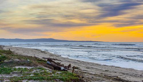 Monterey Dune Dream - Photo 5