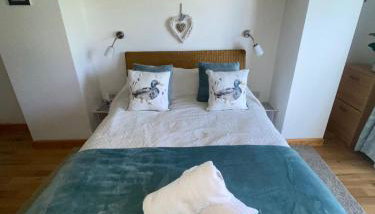 Little Dragons - Foto 4