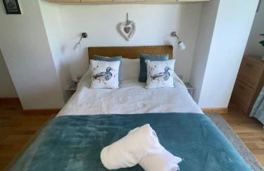 Little Dragons - Photo 4