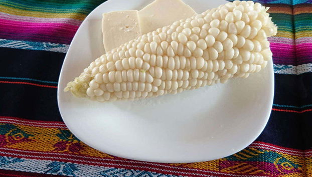 Maïs avec fromage typique
