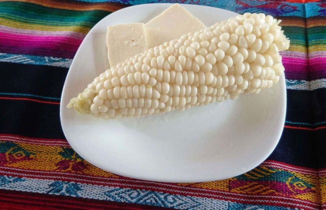 Excursión a la Reserva Yanacocha - Foto 3