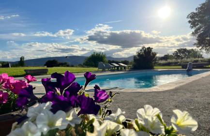 casa rural de un artista en plena naturaleza piscina y parque de esculturas en villarcayo - Photo 21