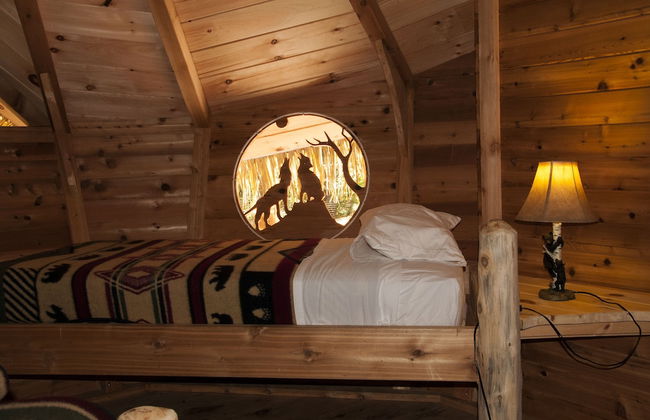 Parc Omega - Foto 24