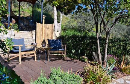 The Olive Tree - Photo 36