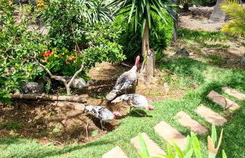 CASA LOS POLVEROS - Foto 21