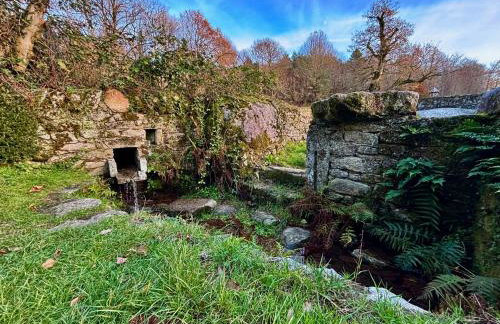 Maison au coeur de la forêt dans le Sidobre - GR36 - Foto 27