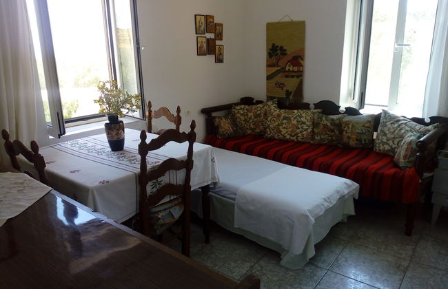 Garden Of Olive Trees - Photo 13