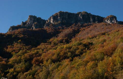 Apartamentos Rurales Casa Marcelo II - Foto 90