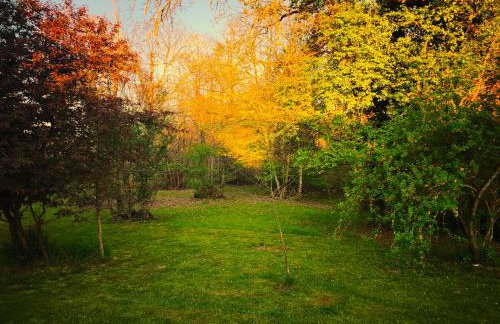 Campagne étoilée - Foto 18