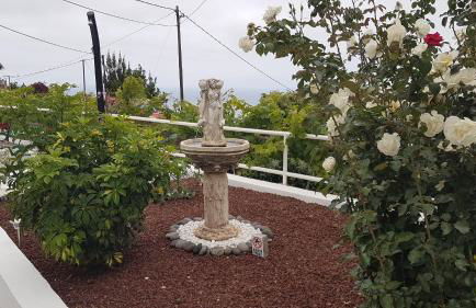 Apartamentos Casa María - Foto 44