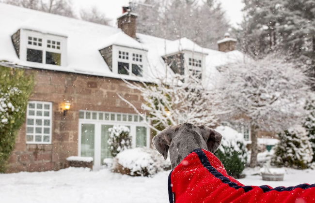 The Stables Cottage Aboyne Royal Deeside - Photo 42