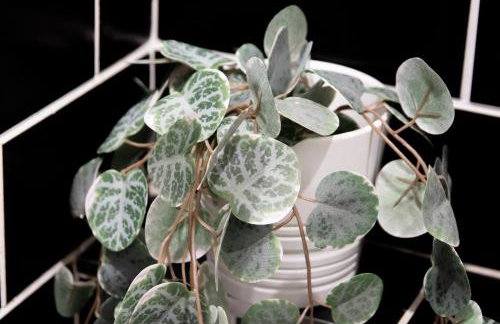 Urban One Central Location - Foto 22