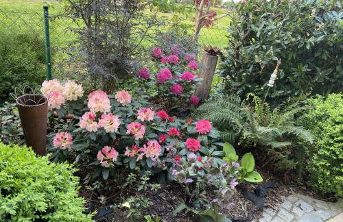 Ferienwohnung Bellissima - Foto 20