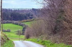 Ma Monaghan's Cosy Cottage County Tyrone - Foto 24