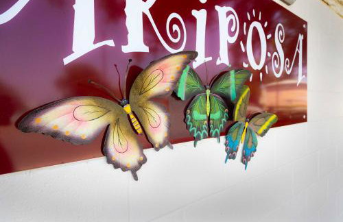 Mariposa Monarch - Walk to River - Foto 71