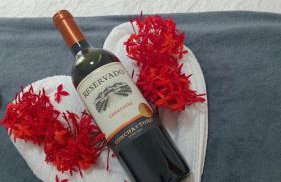 Apartamento no Iloa Residence - Com Enxoval Completo - Foto 9