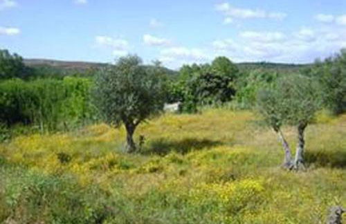 Casa Rustica - Foto 14