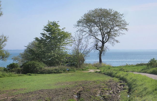 "Ady" - 150m from the sea - Foto 18