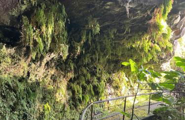 Casa Žerotín - Foto 48