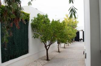 Modern villa with a private pool - Foto 10