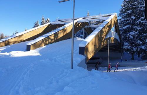 Apartament TatraVika - Photo 64