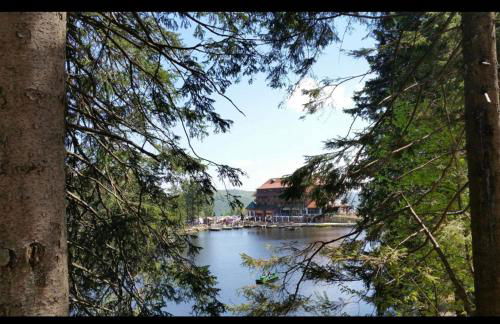 Ferienwohnung Schwarzwald Tannenzäpfle - Foto 52