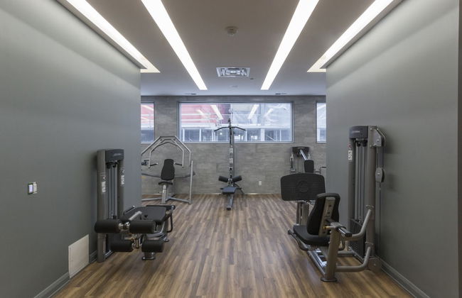 QuickStay - Luxury in Yorkville (Yonge & Bloor) - Photo 16