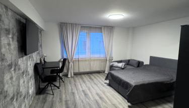 Brand-New Renovated Studio Apartment - Foto 3