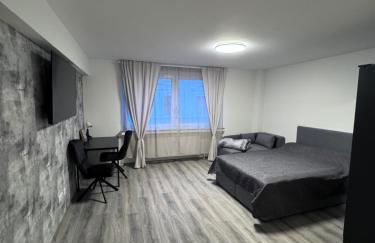 Brand-New Renovated Studio Apartment - Foto 3