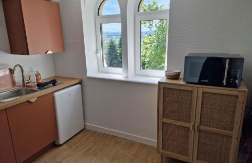 Château de Sérignac - Foto 13