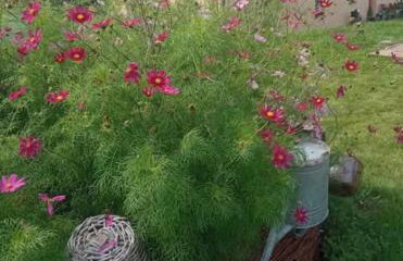 Agroturystyka Jak Makiem Zasiał Dworki 10 - Foto 27