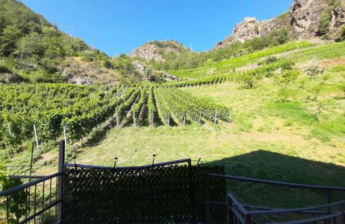 Tranquillità e Relax - Foto 23