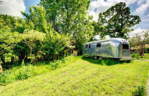 Vintage glamping Airstream with Farm Animals - Foto 19