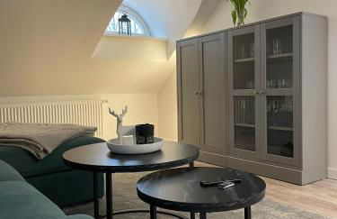 Apartment ELBHIRSCH im beliebten Villenviertel Weißer Hirsch - Foto 12