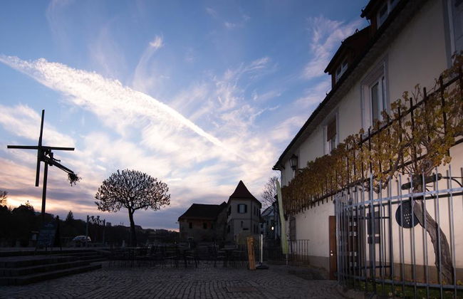 Ptuj e Maribor City con degustazione di vini facoltativa - Tour di un'intera giornata - Foto 2
