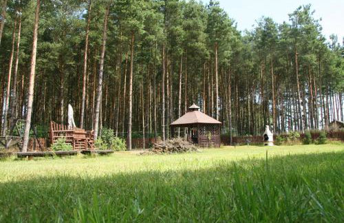 Lisi Dwór - Foto 22