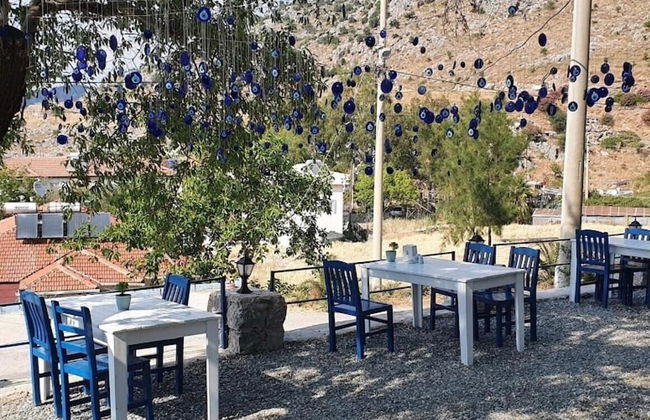 Palmira Selimiye - Foto 14