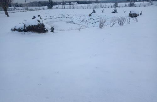 DOM w JESIONACH Brajniki - działka 1 HEKTAR - Photo 46