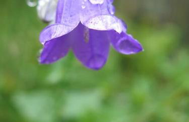 "Le Desman" Confortable T2 à la montagne face aux thermes RANDO, CURE - Foto 24
