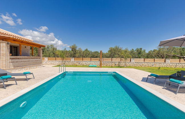 Tierra Olivo - Foto 43