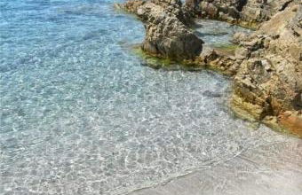 La Tortuga - Foto 14