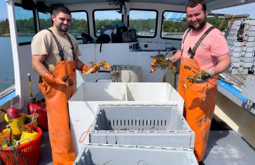 Lucky Stone Retreat - Private Beach & Acadia View - Foto 99
