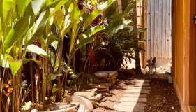 Canto da Mata Itamambuca Hospedagem - Foto 4, Garden view