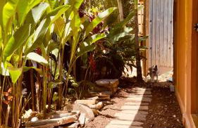 Canto da Mata Itamambuca Hospedagem - Foto 4