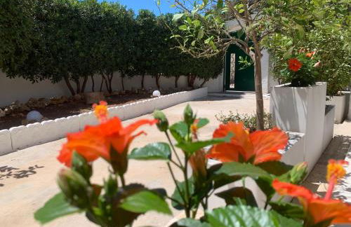 Villa Lucia - Foto 16