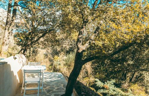 La Pigoussette - Photo 16