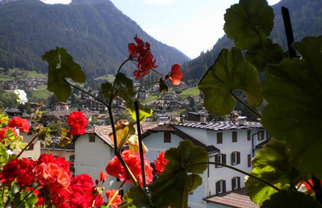 House Casa Defrancesco - Photo 12