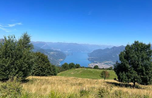 La coccinella - Foto 20