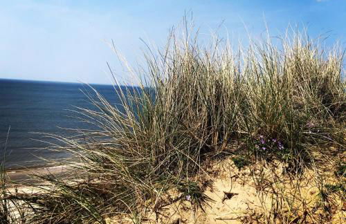 Perfekte Wohnung in perfekter Lage mit Balkon! - Photo 34