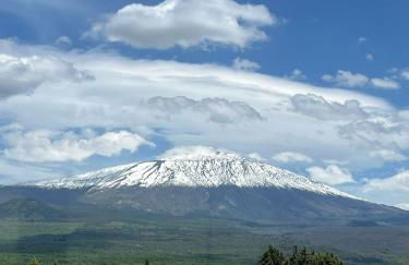 Dimora dell'Etna - Foto 15